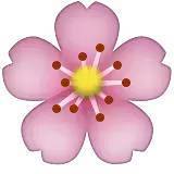 深化行業(yè)認(rèn)知，共謀發(fā)展新篇——中煤蒙大公司特邀孫惠民授課經(jīng)濟信息咨詢